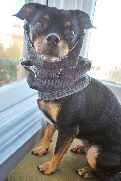 SMALL DOG - CROSSBONE Washed Out Denim Doggy Vest main image 1